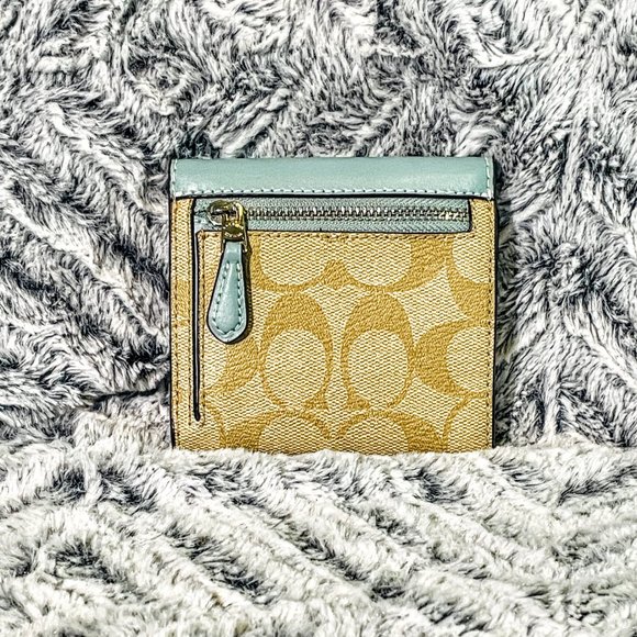 NWT - COACH MINI SAGE CARRYALL IN SIGNATURE CANVAS (F29434) - Picture 11 of 13